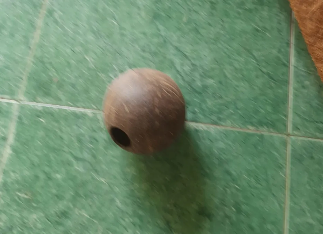 Coco shell full