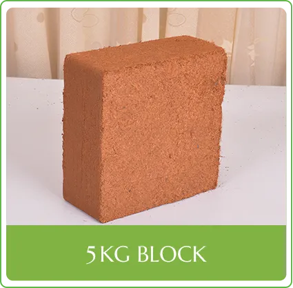 5KG Block
